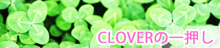 東川口のペットサロン＆ホテル｜CROVER(クローバー)