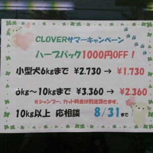 IMG_20120824_151510.jpg